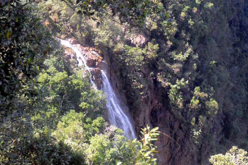 salto guayabo elder