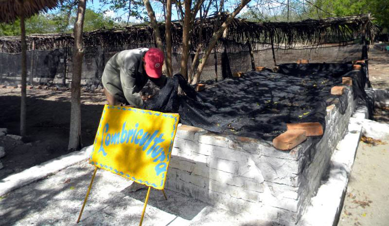 abono organico lombricultur