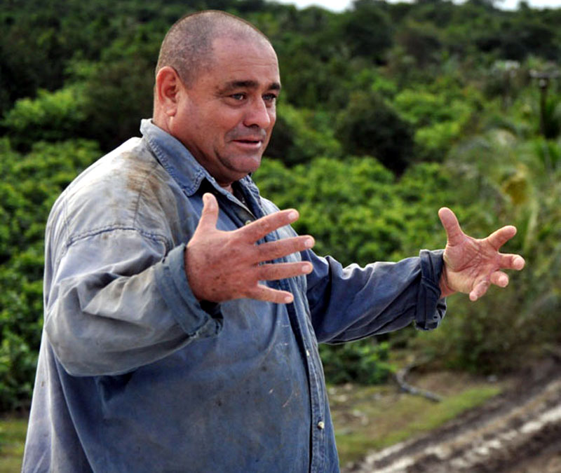 Juan Carlos González, productor de la finca La Negra, en el Consejo popular de Floro Pérez. Foto: Elder Leyva agricultura gibara 2