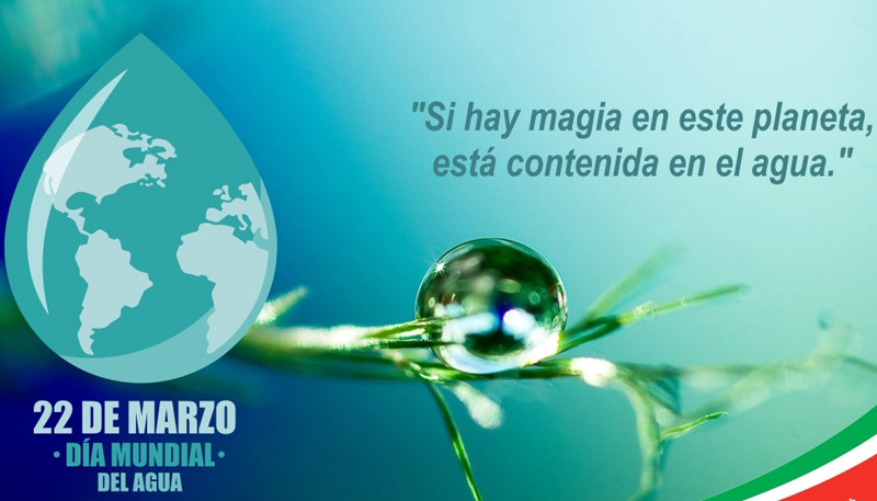 dia mundial del agua