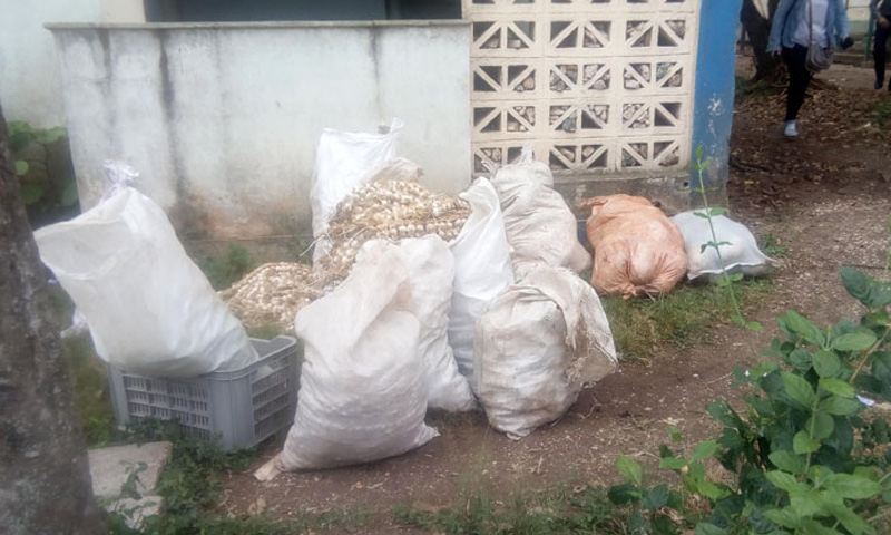 Detrás de uno de los edificios aledaños se ocultaban diversos productos. feriahhh1