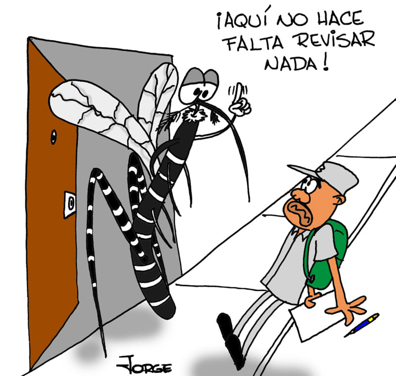 mosquito fumigacion 2