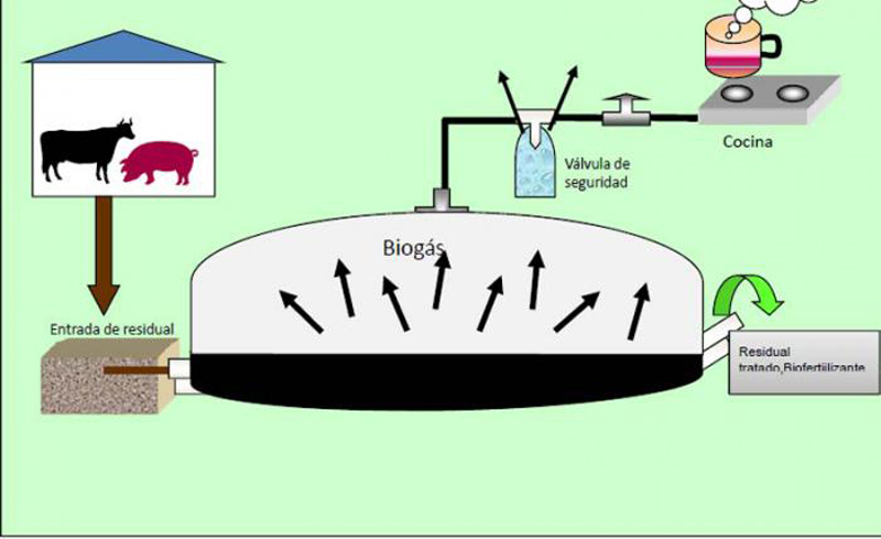 biodigestores hg 1