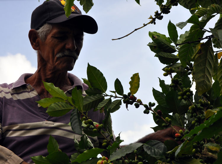 campesino fotorrep 9