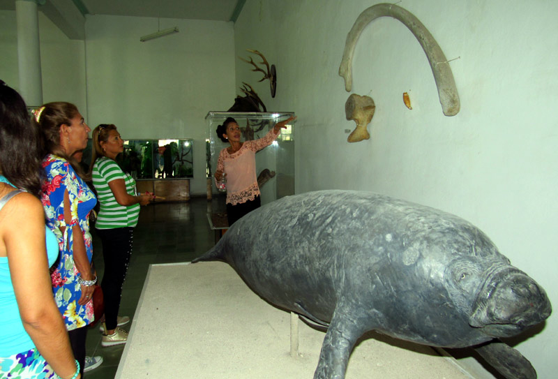 Cada 18 de mayo se celebra el día Mundial de los Museos. Foto: Alexis del Toro Foto: Alexis del Toro