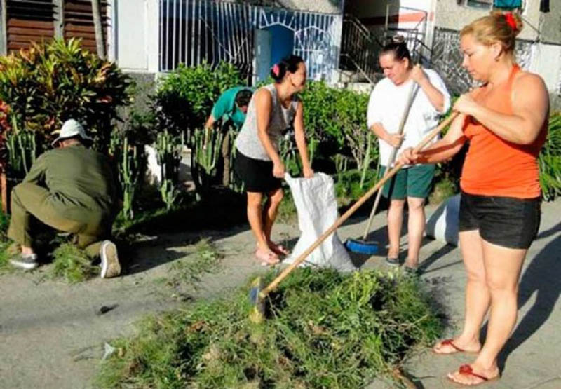 Foto: La Voz del Níquel trabajo voluntario