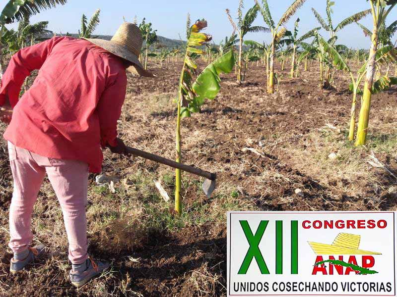 En proceso asambleario campesinado calixteño. Foto: Radio Juvenil Ccongreso XII ANAP