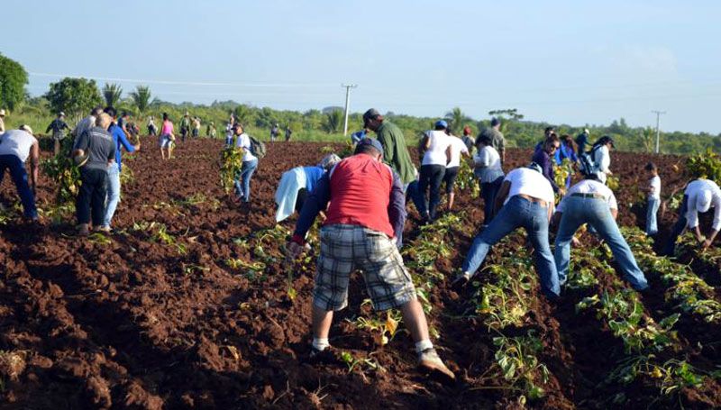 Trabajo Voluntario ujc