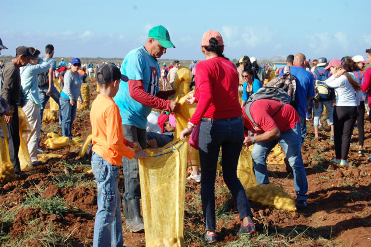 Trabajo voluntario