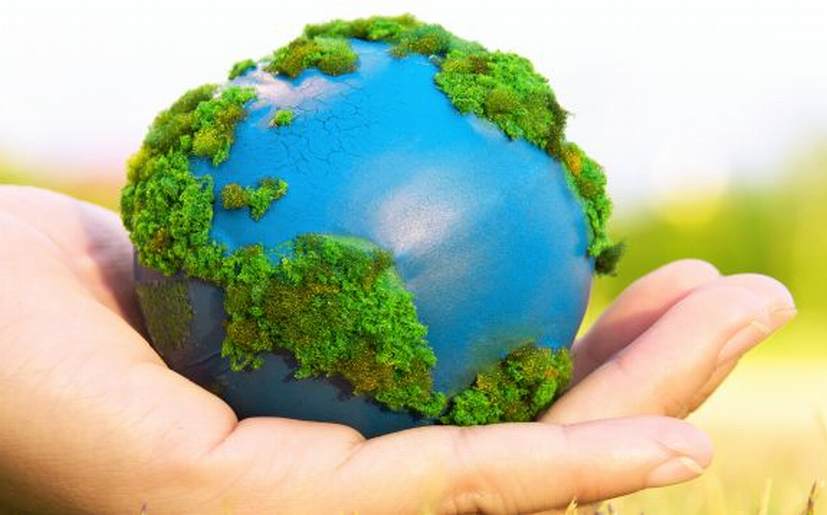medio ambiente
