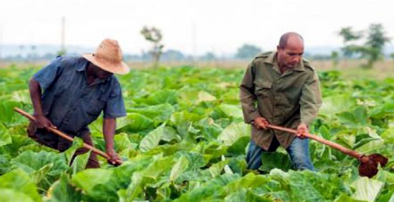 agricultura turismo 1