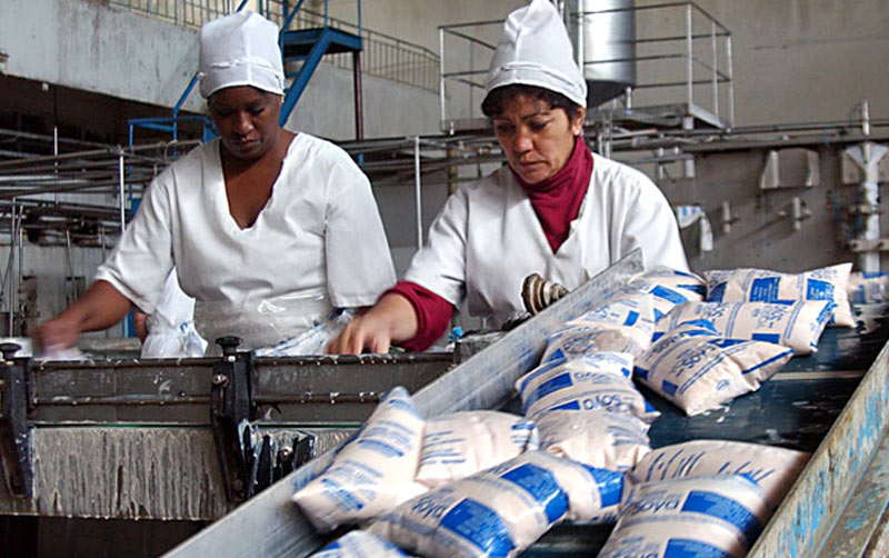 Casi una veintena de rutas de acopio nutren a la empresa de productos lácteos de Holguín. Foto: Juventud Rebelde lacteo holguin 2