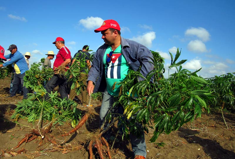 trabajo voluntario 2