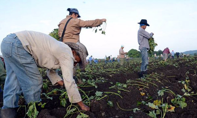 agricultura encuentro 2