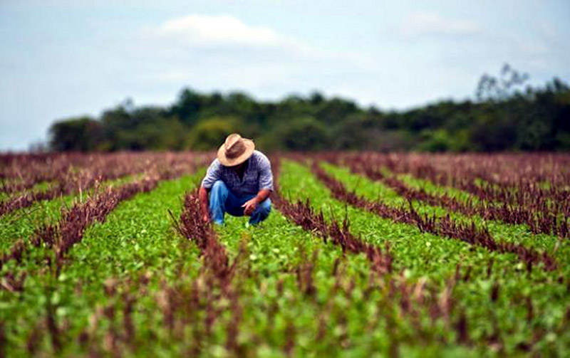 agricultura plenaria 01