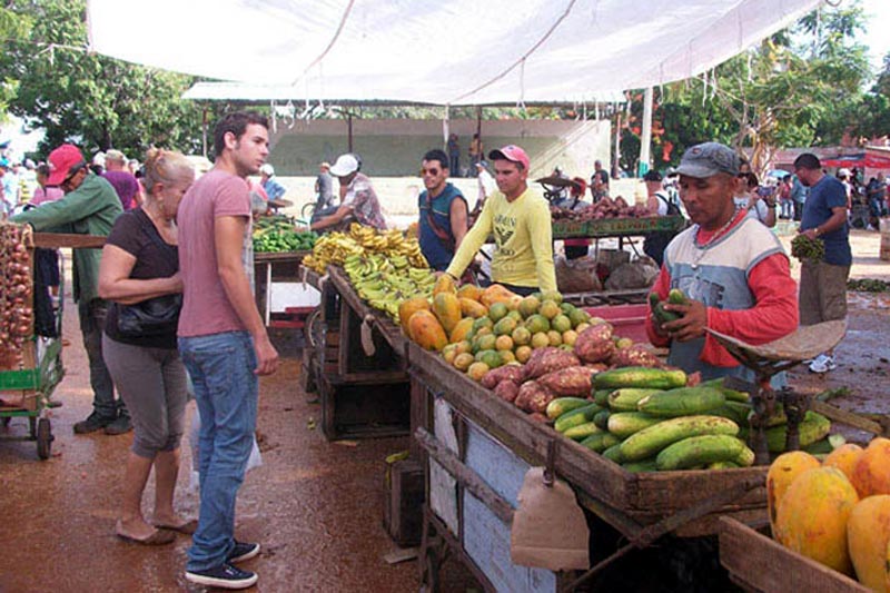 Foto: Visiondesdecuba feria comentario