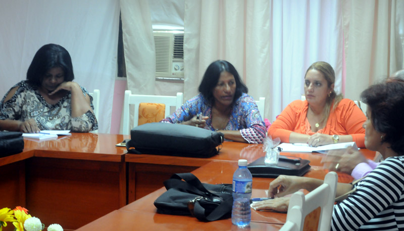 viceministra mined 2