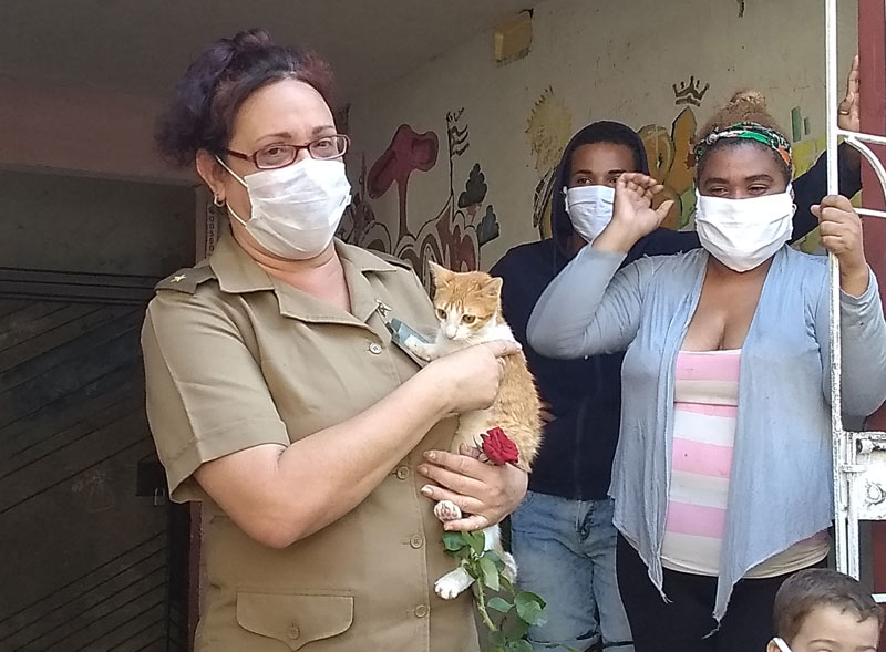 Crónica doctora con gata