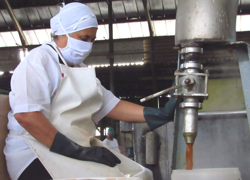Quienes trabajan en las líneas de elaboración, envasado y etiquetado hacen uso de la indumentaria para la autoprotección Fca Turquino Alexis Produccion 02