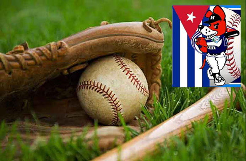 cachorros entrenan covid 19