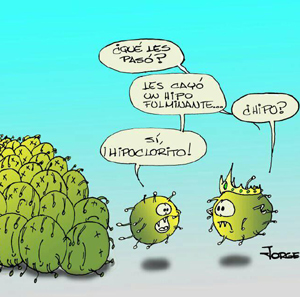 covid hipoclorito