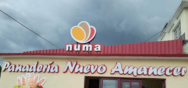 panaderia celiacos Hgok