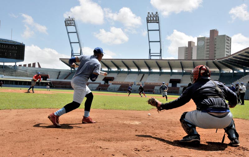 Cachorros entrenamiento 3