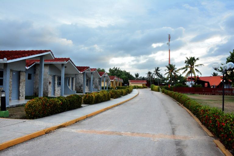 freyreweb