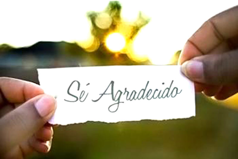 gratitud
