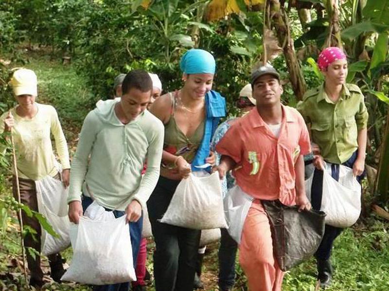 Las investigaciones también están dirigidas a las transformaciones conceptuales de la formación laboral en los estudiantes. Centros Estudio UHO Elder 2