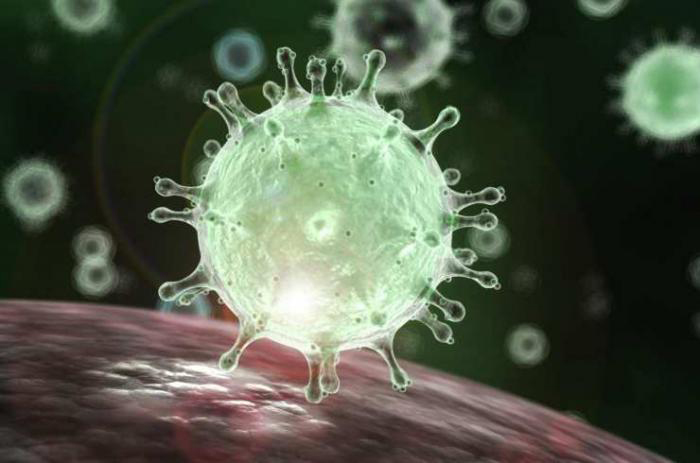 Coronavirus1