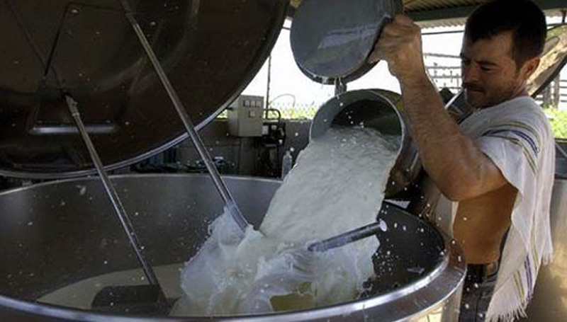 ganaderia Hg Foto ACN