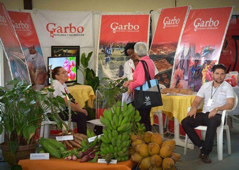 feria hg 0
