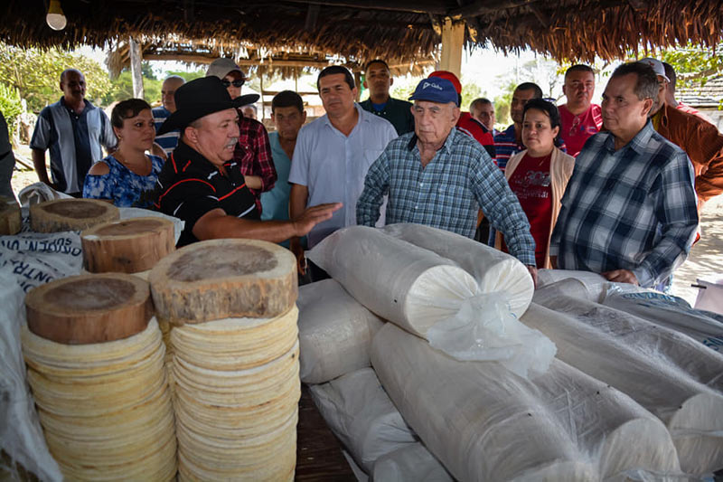 machado ventura 17