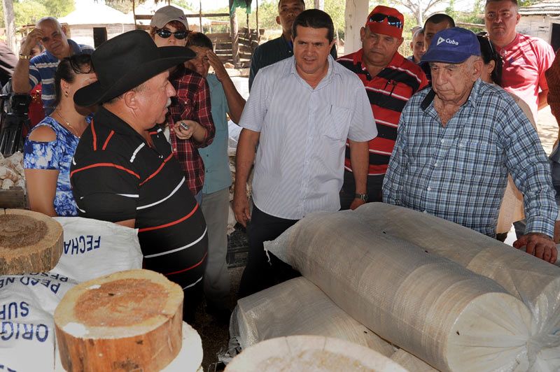 En Yareyal, Machado se interesó por la producción de casabe. machado visita casabe