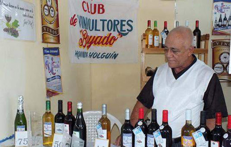 La cultura vinícola en Holguín crece anualmente, así lo demuestra Abilio Torres quien obtuvo premio en vinos blancos, de la bodega Victorien. Fotos: Carlos Rafael y Radio Angulo vinicultores hg 1