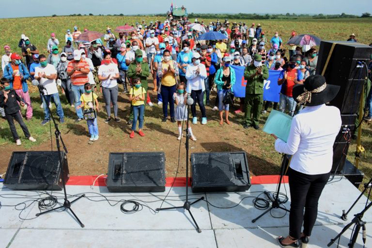 Acto político-cultural desarrollado a pie de surco en áreas del Polo Productivo “La Yuraguana”, ubicado en el Consejo Popular de San Andrés. verano Fotocarlosrafael1