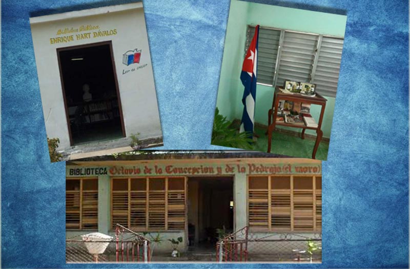 Dia bibliotecario collage