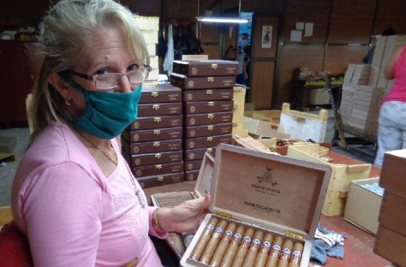 Las cinco fábricas de este territorio oriental generarán valores por más de 25 millones de pesos Producción tabaco Holguin0