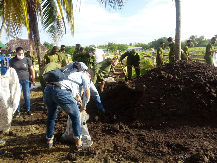 Trabajo UJC