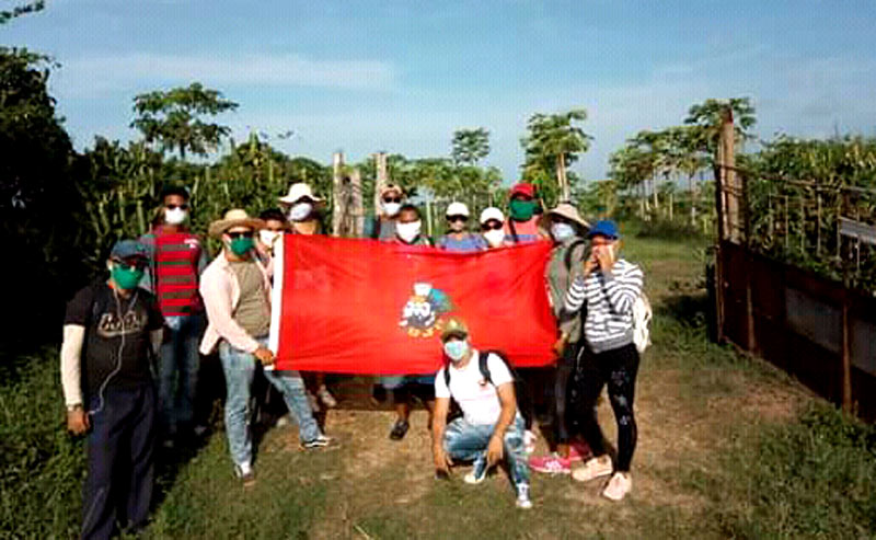 Jovenes de varios municipios holguineros responden al llamado de la Unión de Jóvenes Comunistas (UJC) y los demás organismos para la contribución a las cosechas. Foto: Cortesía de la UJC UJC produccion alimentos Moa 2