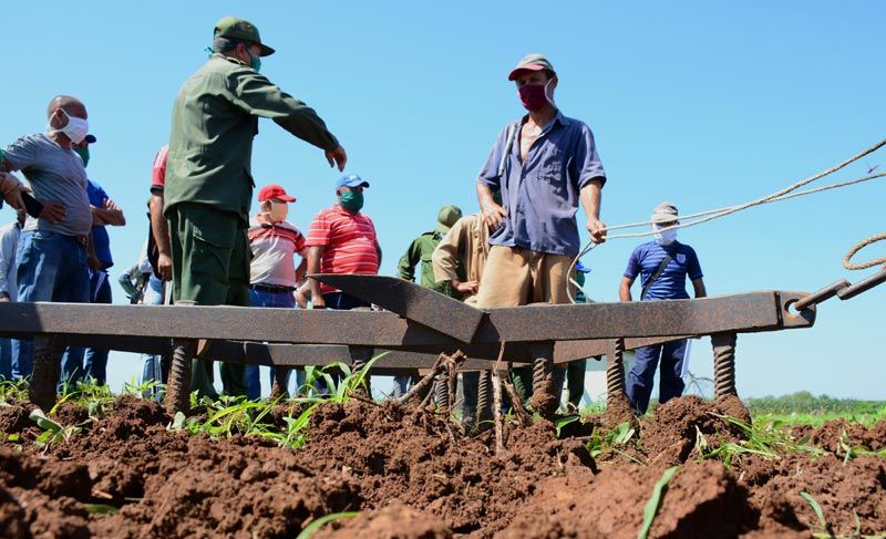 agricultura hg 3