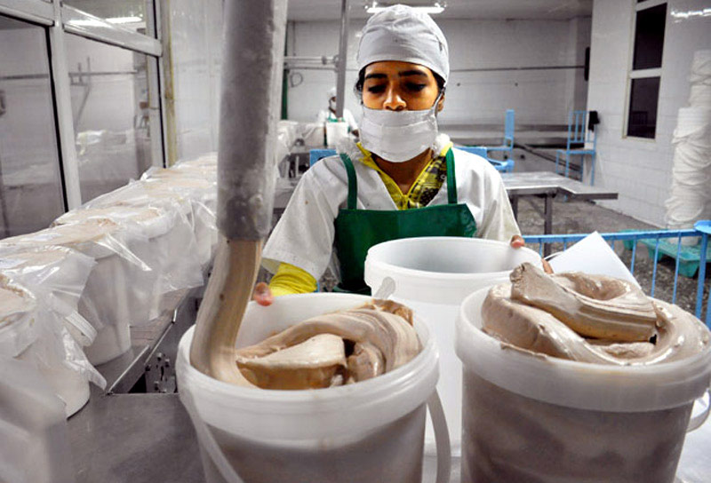 empresa lactea Holguin