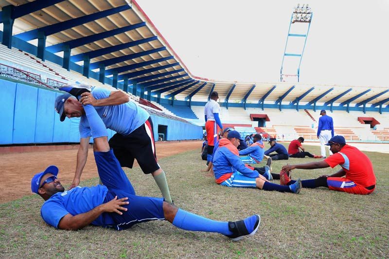 cachorros pre 1