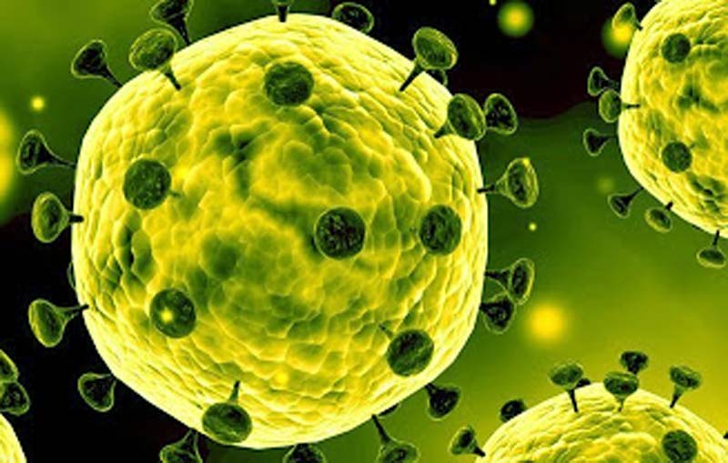 coronavirus1 
