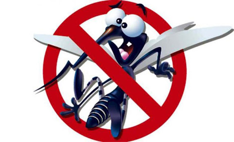 contra el aedes