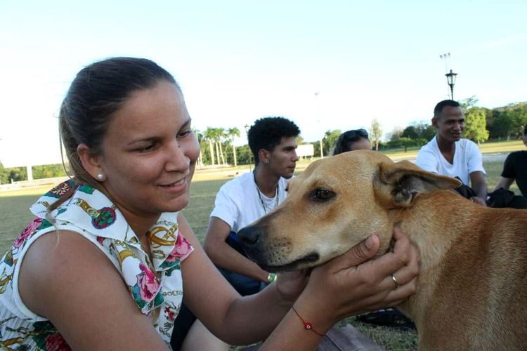 La Feria está orientada a promover el bienestar y protección de las mascotas. Foto: Cortesía del entrevistado Feria Mascotas foto 1