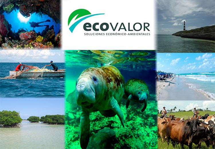 ecovalor hg