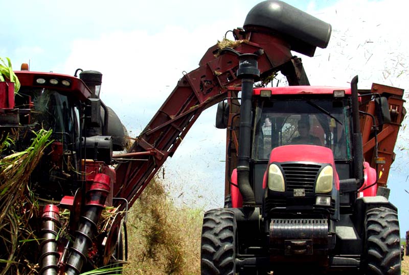 Agroindustria cañera en Holguín. Foto: Alexis del Toro Complementos reportaje 5