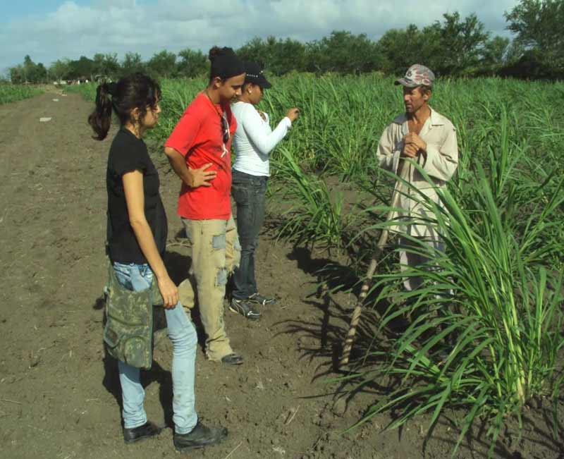 carreras agropecuarias 3